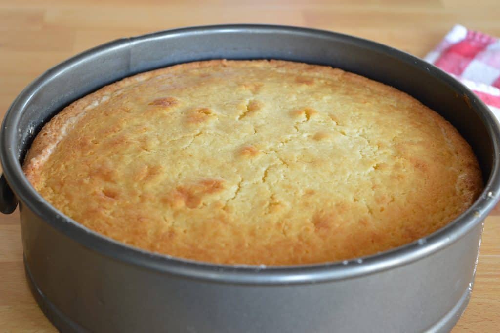 springform pan with cooled cake inside.