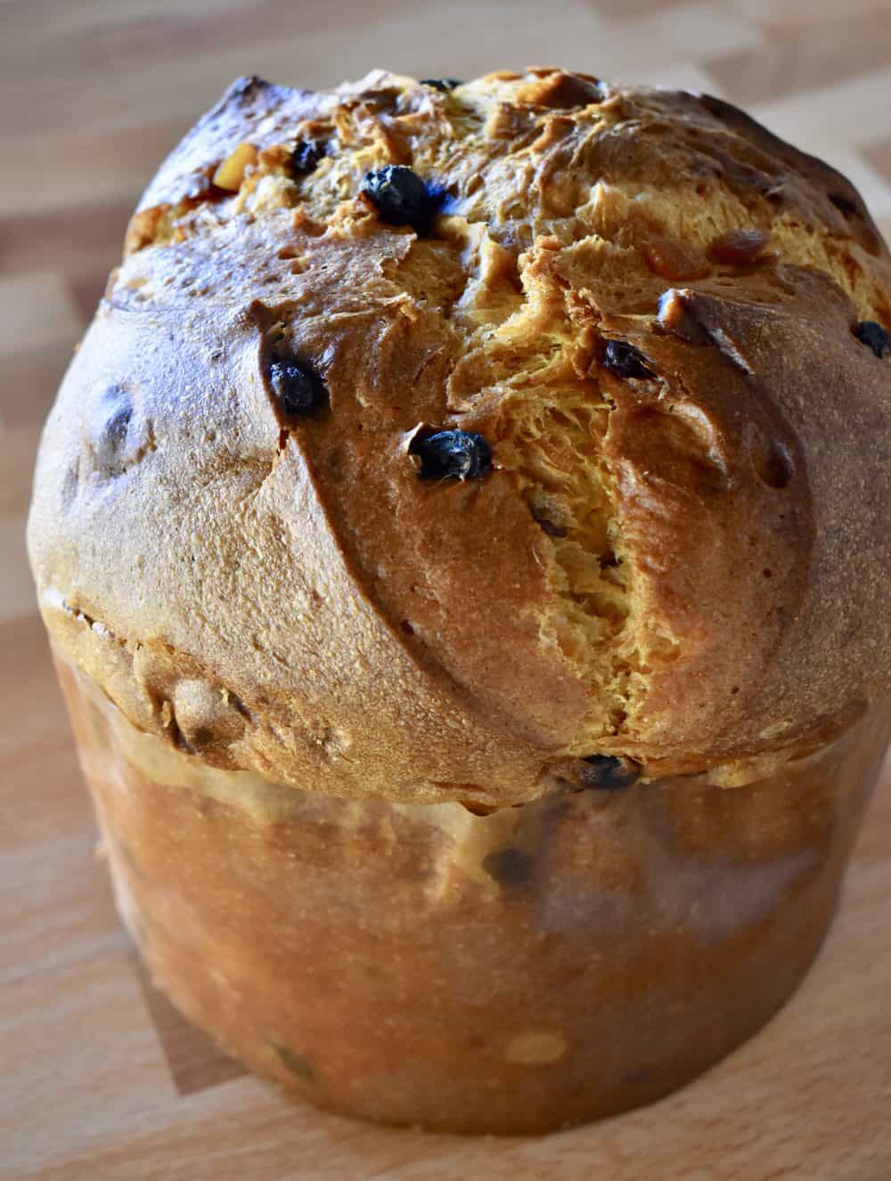 Panettone Bread.