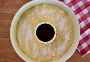overhead photo of sugar sprinkled over top of the cake in the Bundt Cake pan.