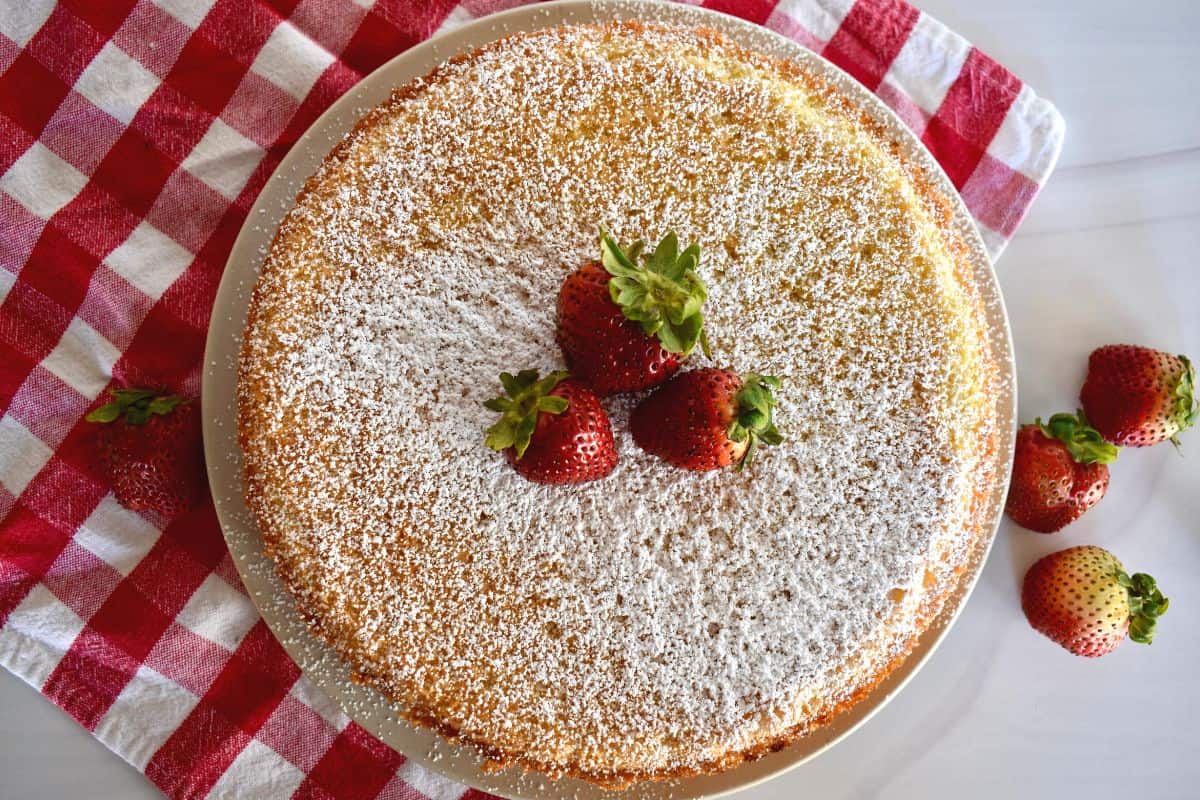 overhead photo of Italian sponge cake on a plate with powdered sugar sprinkled over top. 