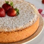 Italian Sponge Cake