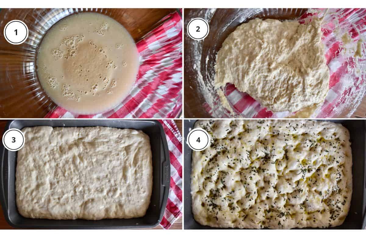 Process shots showing how to make recipe including dissolving the yeast and topping the dough in the pan with salt and rosemary. 