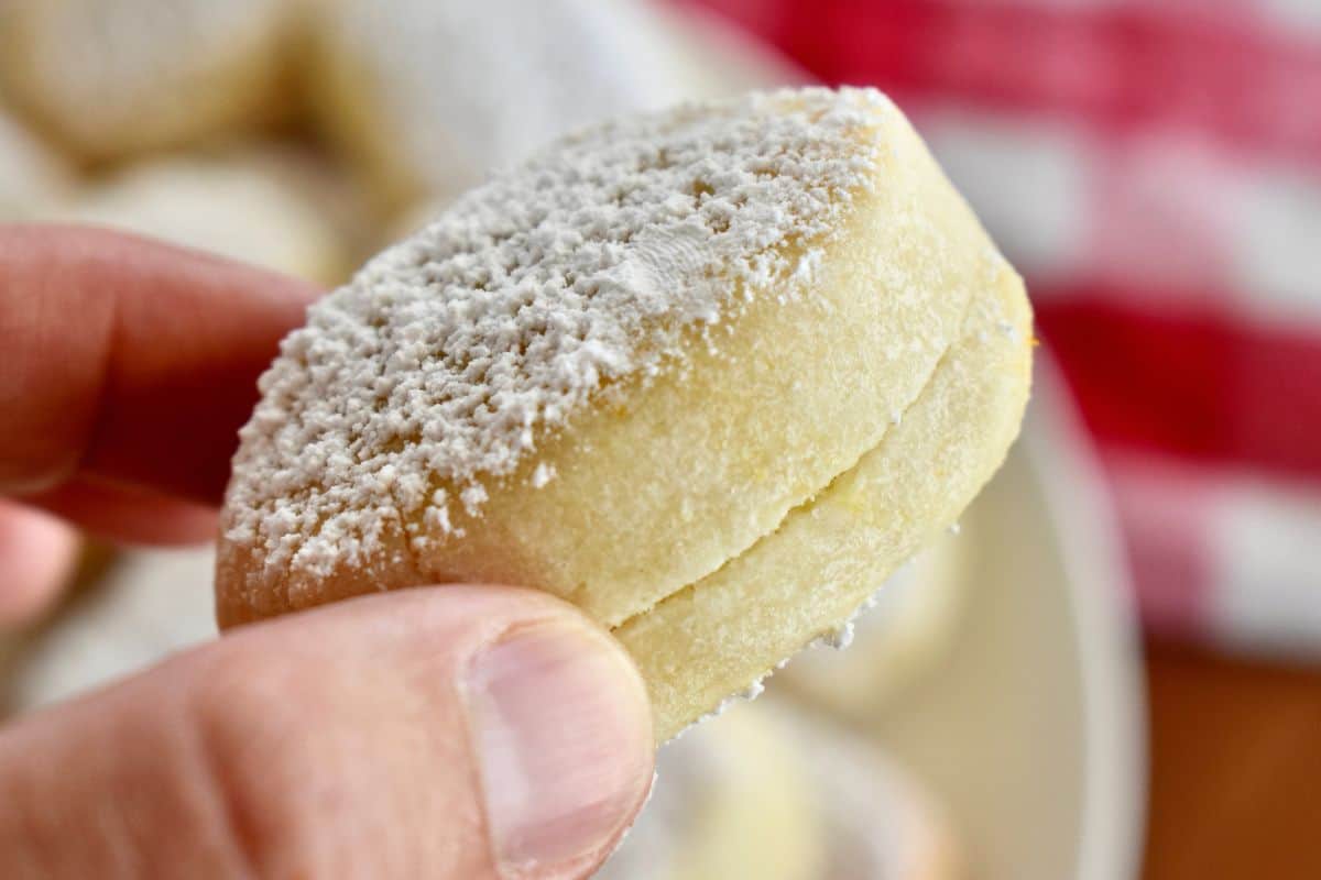 Hand holding a ricciarelli cookie. 