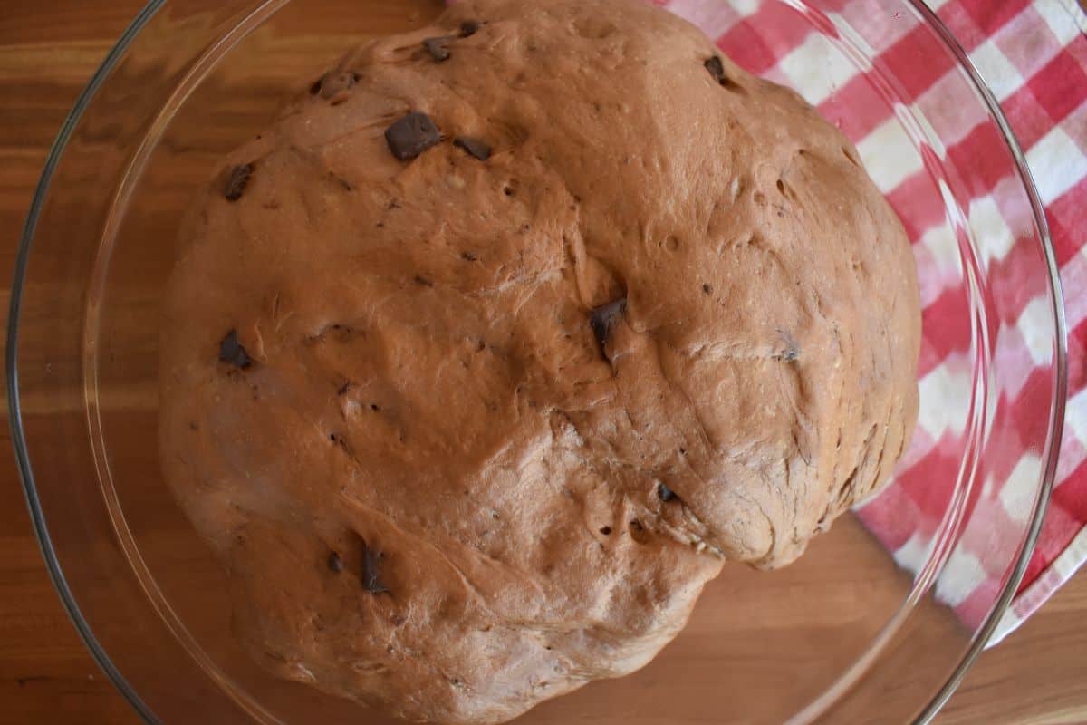 Glass bowl with Italian chocolate bread dough that has risen in size. 