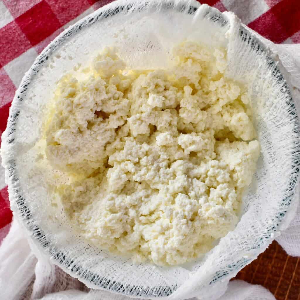 Homemade Ricotta Cheese.