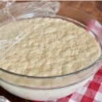 Overnight Pizza Dough recipe.
