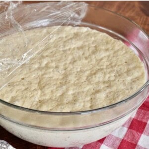 Overnight Pizza Dough recipe.