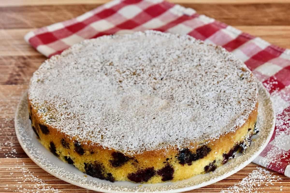 Blueberry Polenta Cake with powdered sugar sprinkled on top. 