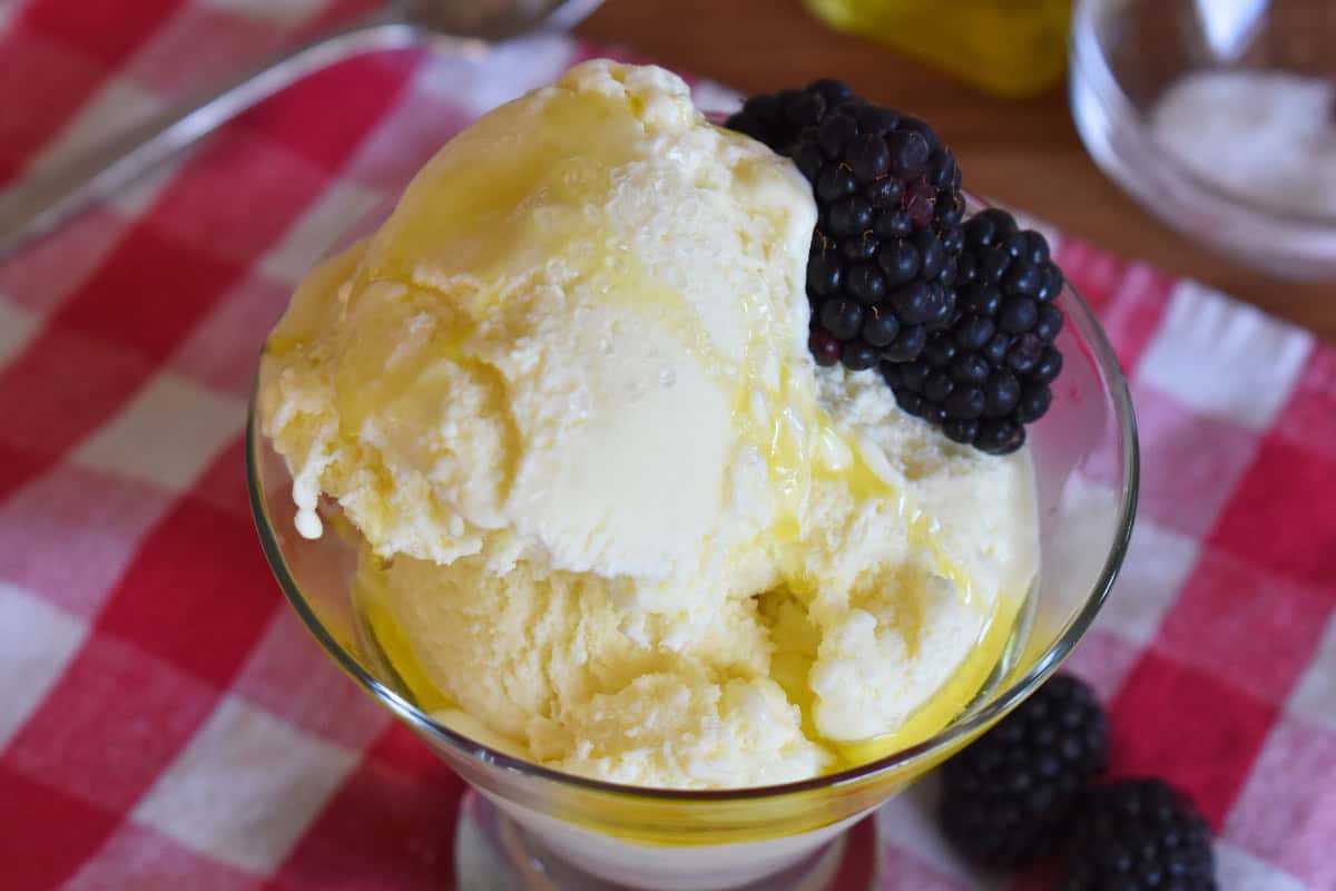 Olive oil gelato in a glass with blackberries. 