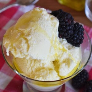 Olive Oil Gelato recipe.