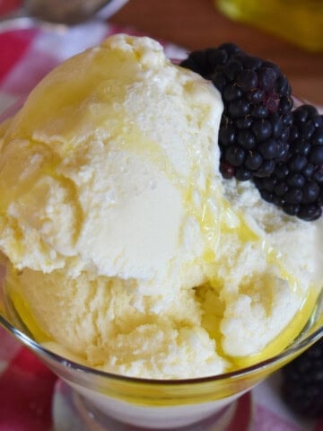Olive Oil Gelato recipe.